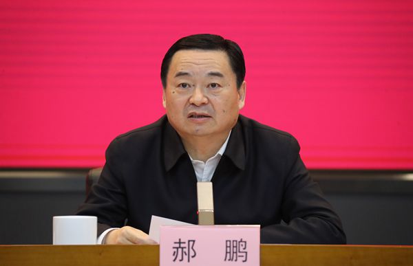 郝鵬、國資、央企、國資委、書記、主任、國企、企業(yè)改革
